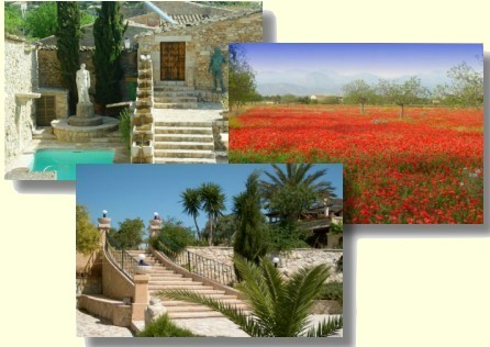 Inmobiliaria in Santa Maria, Mallorca