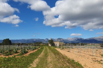 Inmobiliaria Santa Maria 1