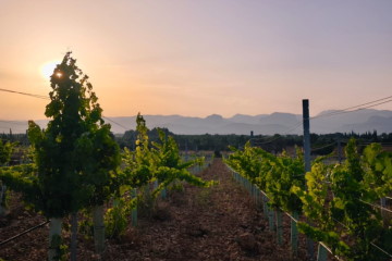 Inmobiliaria Santa Maria 3