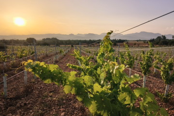 Inmobiliaria Santa Maria 4